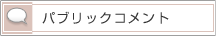 �p�u���b�N�R�����g