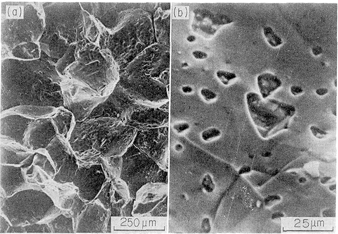 水素分圧29.4MPa、温度873Kの雰囲気下で900ks曝露された低炭素鋼の粒界破面上のメタン気泡跡